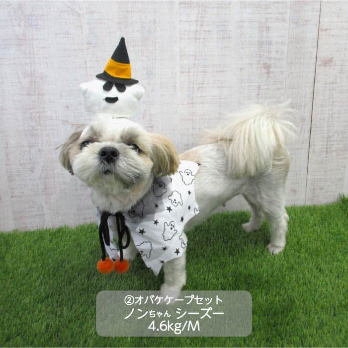小型犬 ハロウィンコスチューム 選べる3種類 - 2