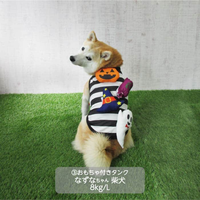 小型犬 ハロウィンコスチューム 選べる3種類 - 3