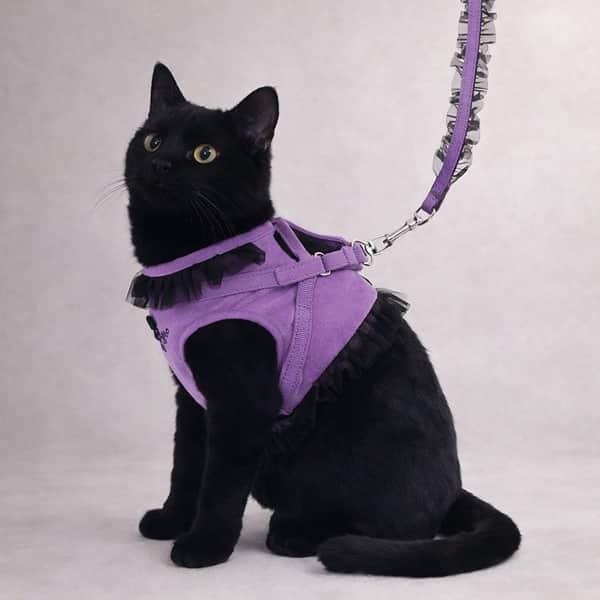 ANNA SUI 猫用フリル付きハーネス - 1