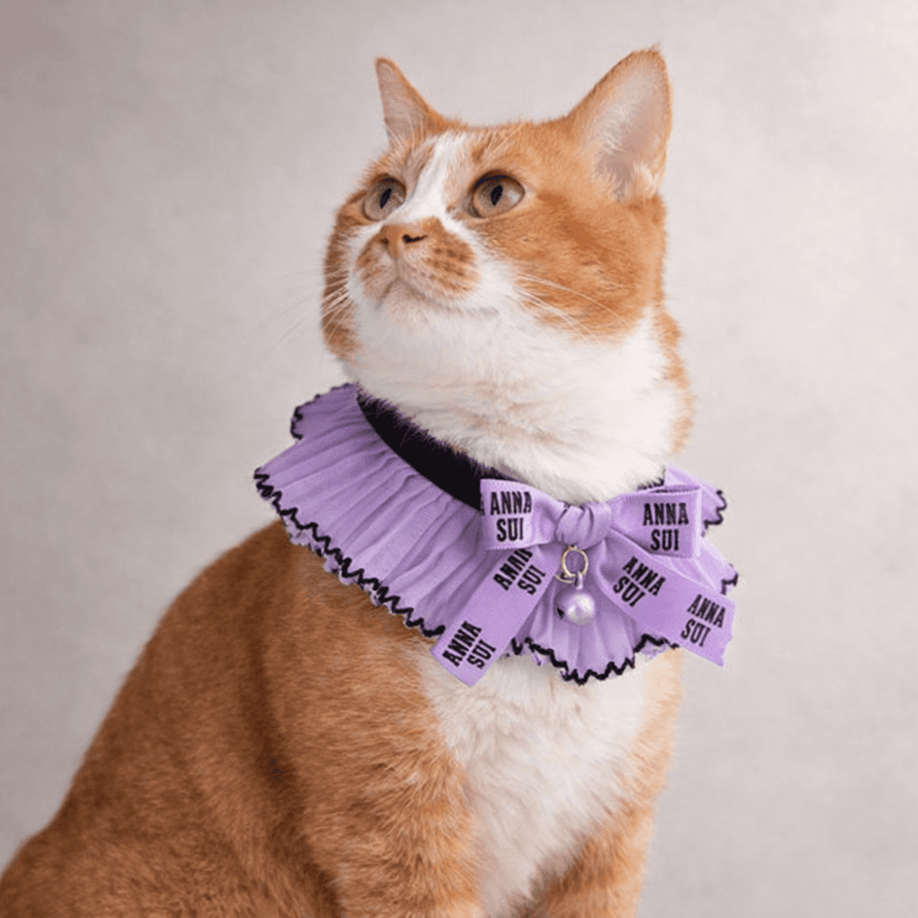 ANNA SUI 猫用リボン付シフォンプリーツシュシュ首輪 - 1