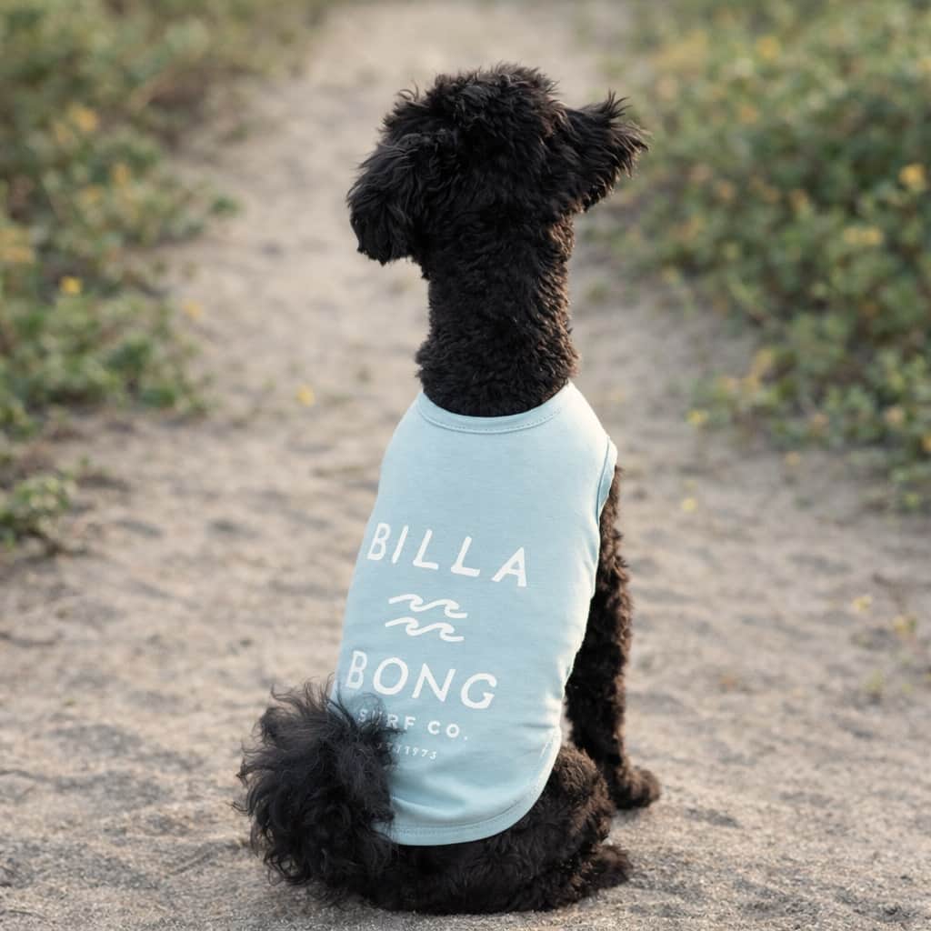 BILLABONG（ビラボン）ONE TIME DOG TANK｜全3色 - 1