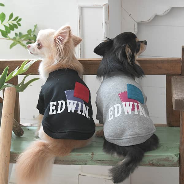 2025秋冬 EDWIN（ エドウィン）パッチワークスウェット - 1