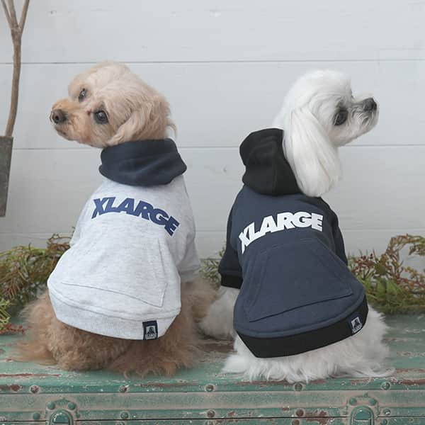 2025秋冬 XLARGE（エクストララージ）ツートーンフーディー - 1