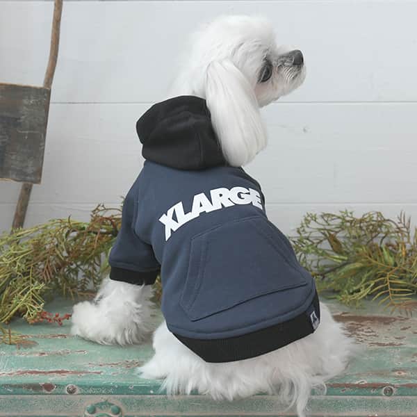 2025秋冬 XLARGE（エクストララージ）ツートーンフーディー - 2