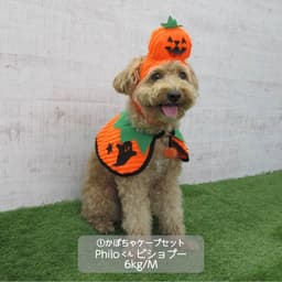 小型犬 ハロウィンコスチューム 選べる3種類 - サムネイル4