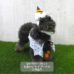 小型犬 ハロウィンコスチューム 選べる3種類 - サムネイル5