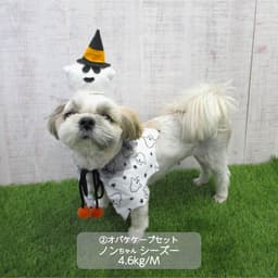 小型犬 ハロウィンコスチューム 選べる3種類 - サムネイル2