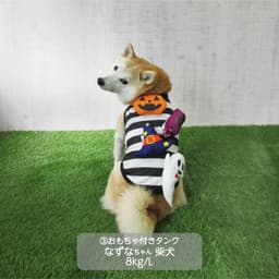 小型犬 ハロウィンコスチューム 選べる3種類 - サムネイル3