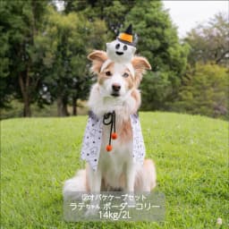 中型犬 ハロウィンコスチューム 選べる2種類 - サムネイル1