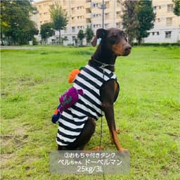 大型犬 ハロウィンコスチューム 選べる2種類 - サムネイル2