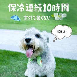 リボン付きネッククーラー - サムネイル1