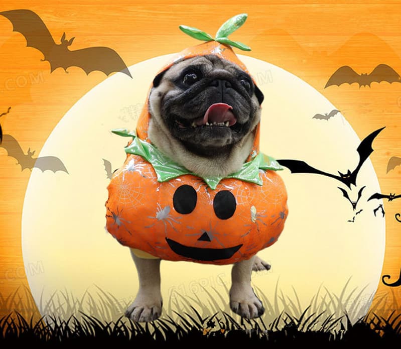 ハロウィン仮装セット