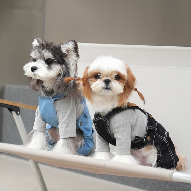 サマーカジュアルウェア