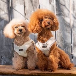 Solgra ナチュラルニットハーネス - サムネイル1