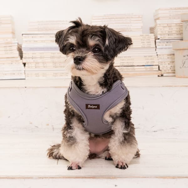 Solgra ナチュラルニットハーネス - 2