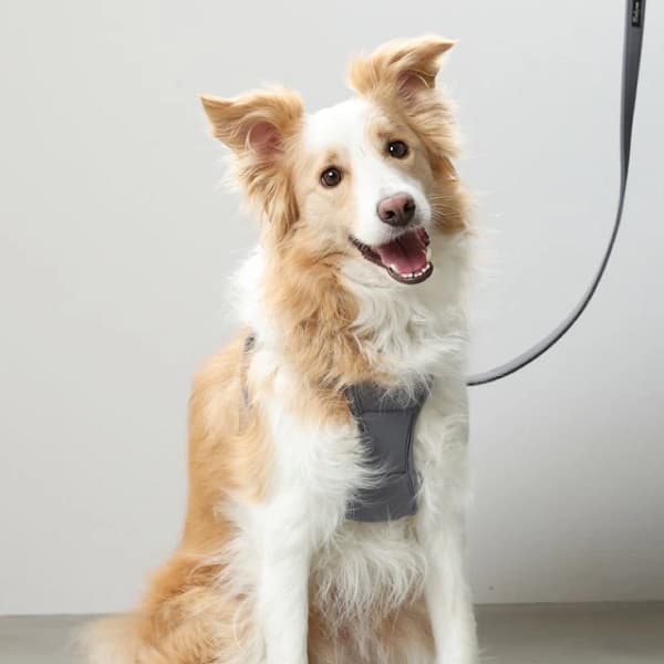 Solgra ナチュラルニットハーネス - 14