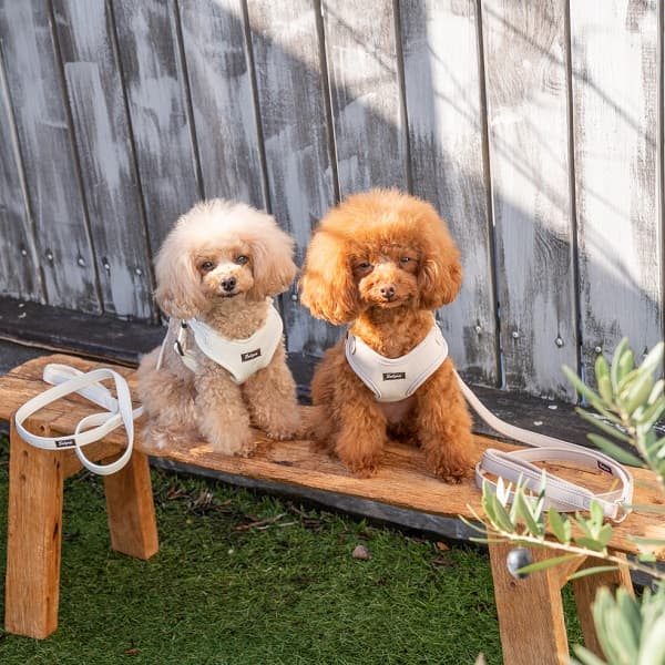 Solgra ナチュラルニットハーネス - 20