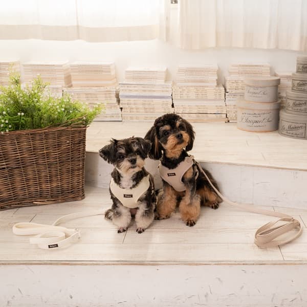 Solgra ナチュラルニットハーネス - 19