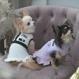 2025秋冬 ANNA SUI（アナ スイ）ツイード風ニットワンピース - サムネイル2