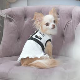 2025秋冬 ANNA SUI（アナ スイ）ツイード風ニットワンピース - サムネイル4