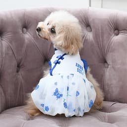 2026新商品 ANNA SUI（アナ スイ）バタフライチャイナバルーンワンピ - サムネイル3