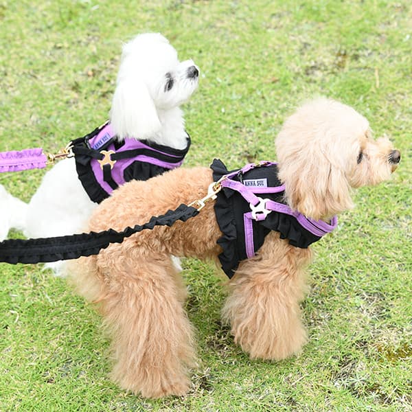 ANNA SUI バタフライ刺繍フリルハーネス - 2