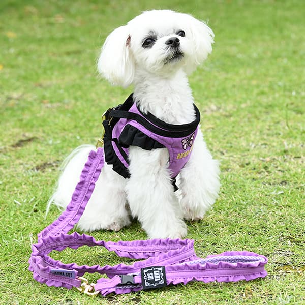 ANNA SUI バタフライ刺繍フリルハーネス - 4