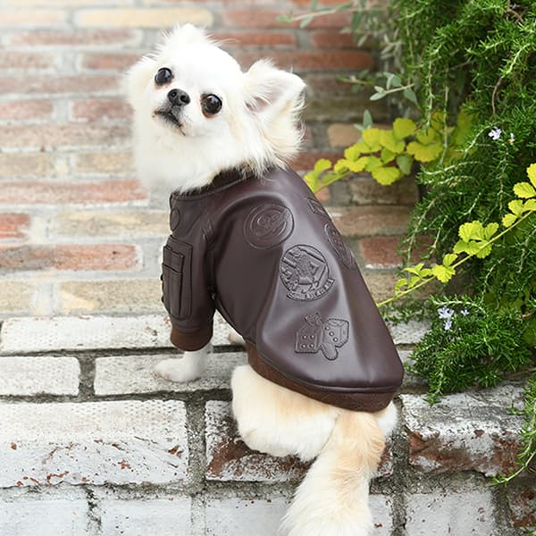 AVIREX（アヴィレックス）フェイクレザータイプMA-1トップガン - 1