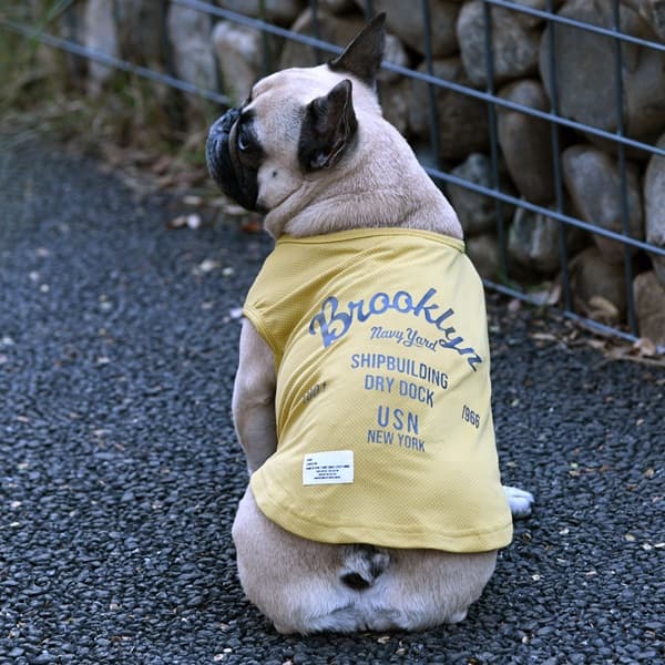 2026新商品 AVIREX（アヴィレックス）EMB.ブルックリンタンク - 4