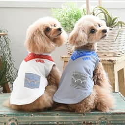 EDWIN（ エドウィン）バンダナスカーフメッシュタンク - サムネイル1