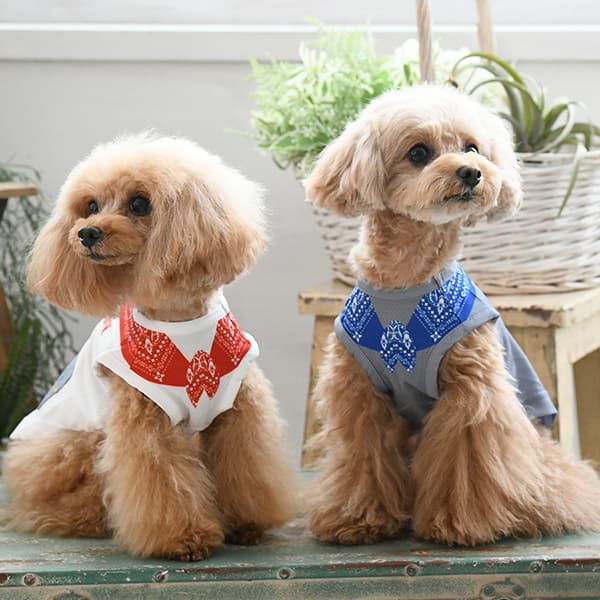 EDWIN（ エドウィン）バンダナスカーフメッシュタンク - 2