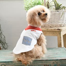 EDWIN（ エドウィン）バンダナスカーフメッシュタンク - サムネイル4