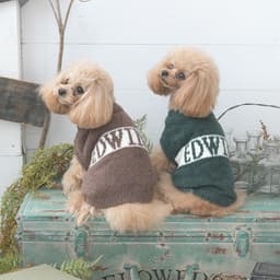 2025秋冬 EDWIN（ エドウィン）もこもこロゴスウェット - サムネイル1