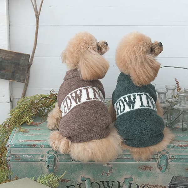 2025秋冬 EDWIN（ エドウィン）もこもこロゴスウェット - 2