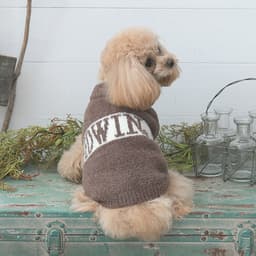 2025秋冬 EDWIN（ エドウィン）もこもこロゴスウェット - サムネイル3