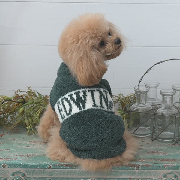 2025秋冬 EDWIN（ エドウィン）もこもこロゴスウェット - 4