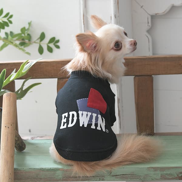 2025秋冬 EDWIN（ エドウィン）パッチワークスウェット - 3