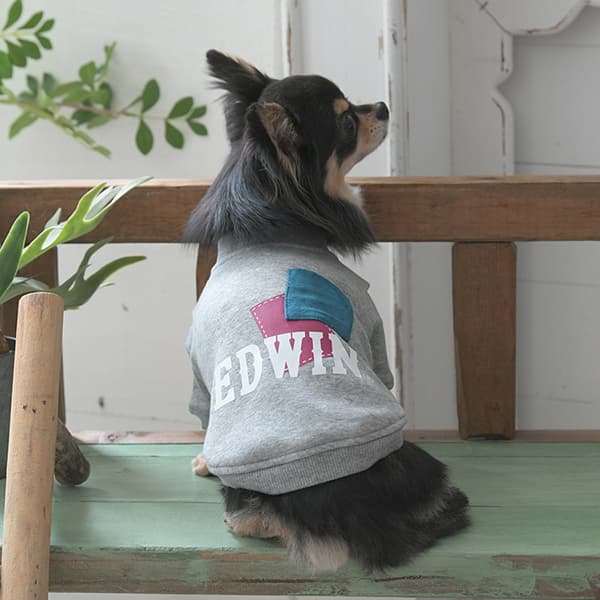 2025秋冬 EDWIN（ エドウィン）パッチワークスウェット - 4