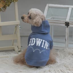 2025秋冬 EDWIN（ エドウィン）デニムライクパーカー - サムネイル3