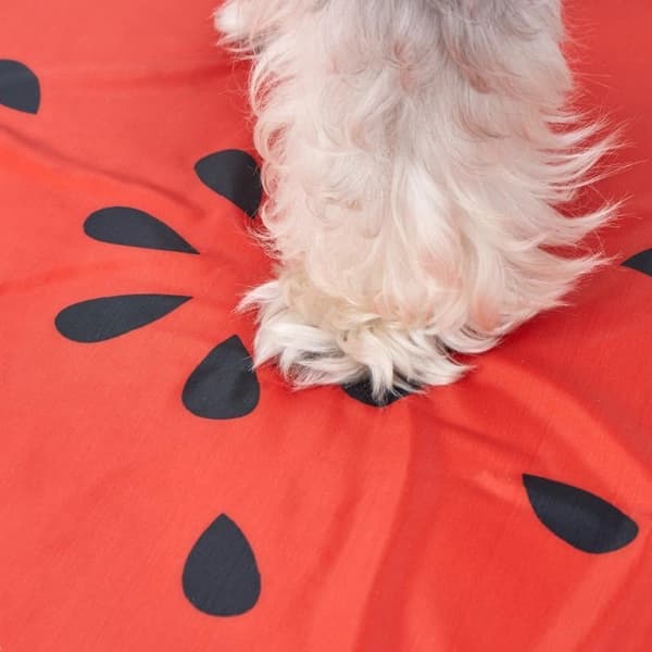 FOFOS ひんやりジェルマット スイカ - 10