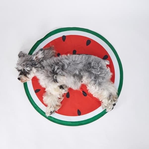 FOFOS ひんやりジェルマット スイカ - 2