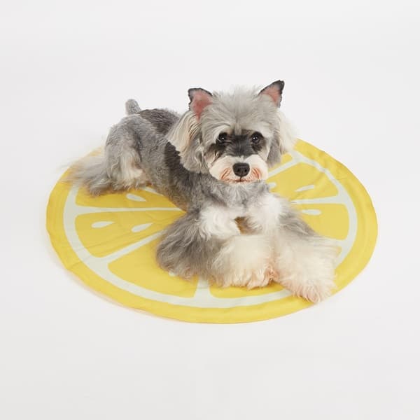 FOFOS ひんやりジェルマット レモン - 1