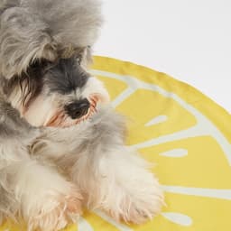 FOFOS ひんやりジェルマット レモン - サムネイル4