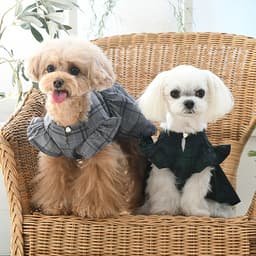 ONE OCTAVE（ワンオクターヴ）きちんとワンピ - サムネイル2