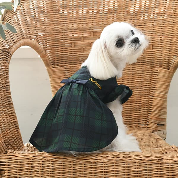 ONE OCTAVE（ワンオクターヴ）きちんとワンピ - 4