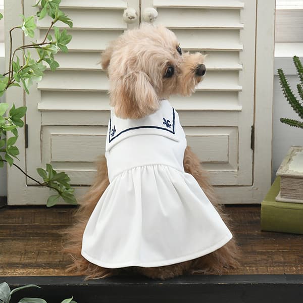 ONE OCTAVE（ワンオクターヴ）ミディカラーワンピ - 4