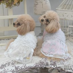 2025秋冬 ROPE PICNIC（ロペピクニック）ドッキングチュールワンピース - サムネイル1