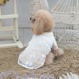 2025秋冬 ROPE PICNIC（ロペピクニック）ドッキングチュールワンピース - サムネイル4