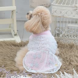 2025秋冬 ROPE PICNIC（ロペピクニック）ドッキングチュールワンピース - サムネイル3