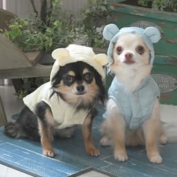 2025秋冬 ROPE PICNIC（ロペピクニック）クマ耳中綿ベスト - サムネイル1